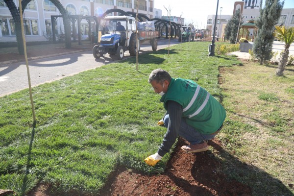 ‘Yeşil Koridor’da peyzaj çalışmaları başladı 