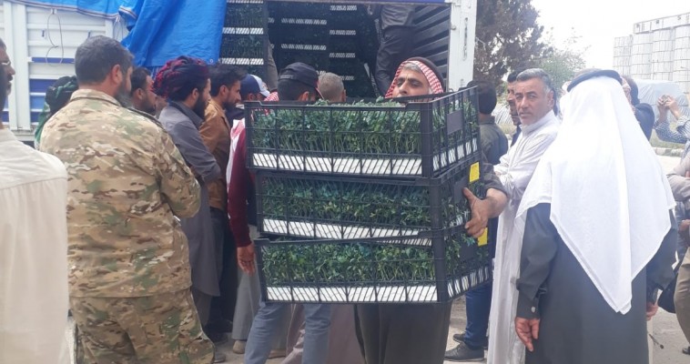 Barış Pınarında tarımsal çeşitlilik destekleniyor