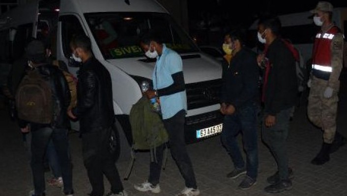 Şanlıurfa’da 101 kaçak göçmen yakalandı