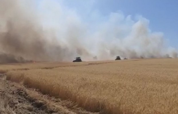 Buğday tarlasında korkutan yangın