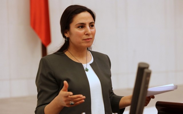 HDP'li vekil Urfa'nın sorununu Meclis'e taşıdı
