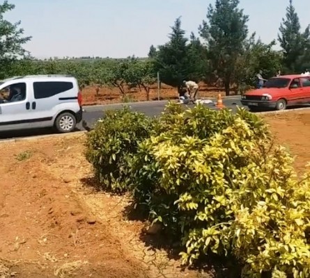 Şanlıurfa'da feci kaza: 1 ölü, 1 yaralı