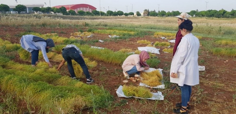 Harran Üniversitesi’nden bir ilk!