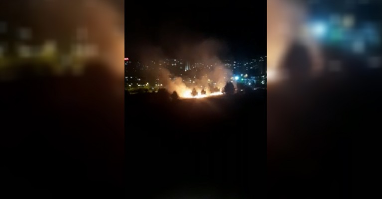 Şanlıurfa'da ormanda yangın!