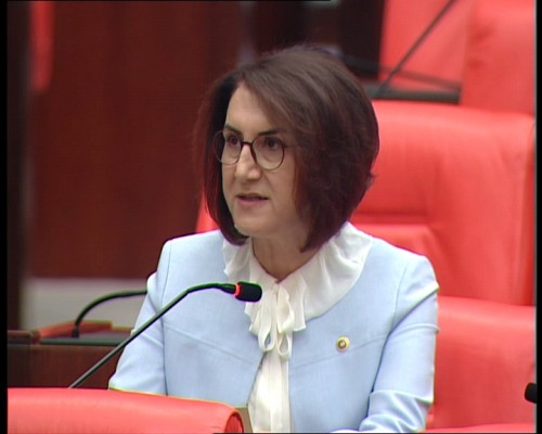 Vekil Açanal, Urfalıların 'Şanlı' gününü mecliste kutladı
