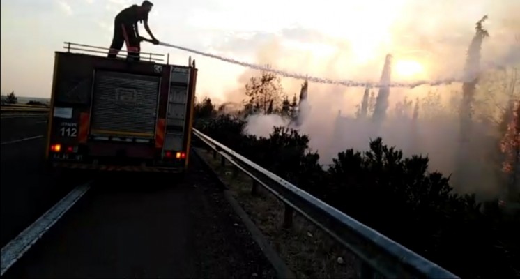 Yol kenarındaki ağaçlık alanda yangın