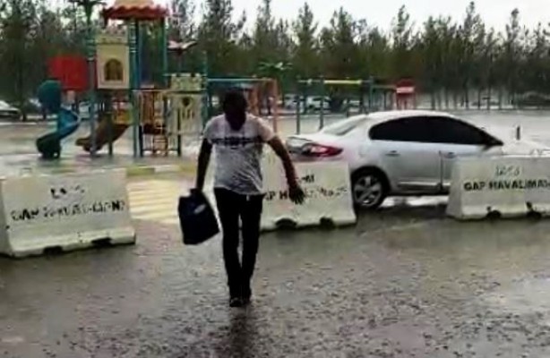 Sağanak yağmur fıstık ağaçlarına zarar verdi