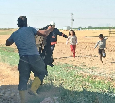 Şanlıurfa'da arı saldırısı