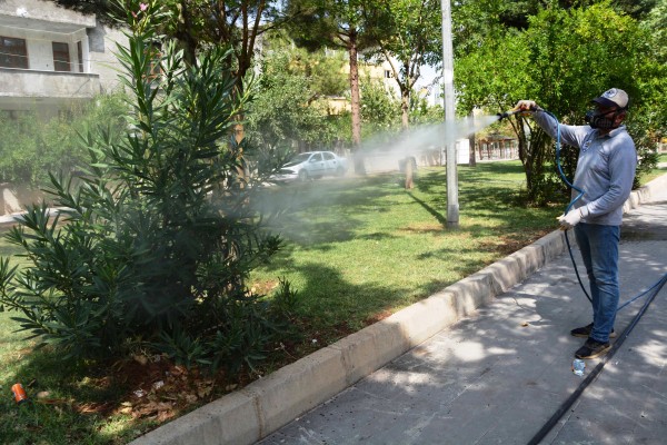 Siverek'te ağaçlar ilaçlanıyor