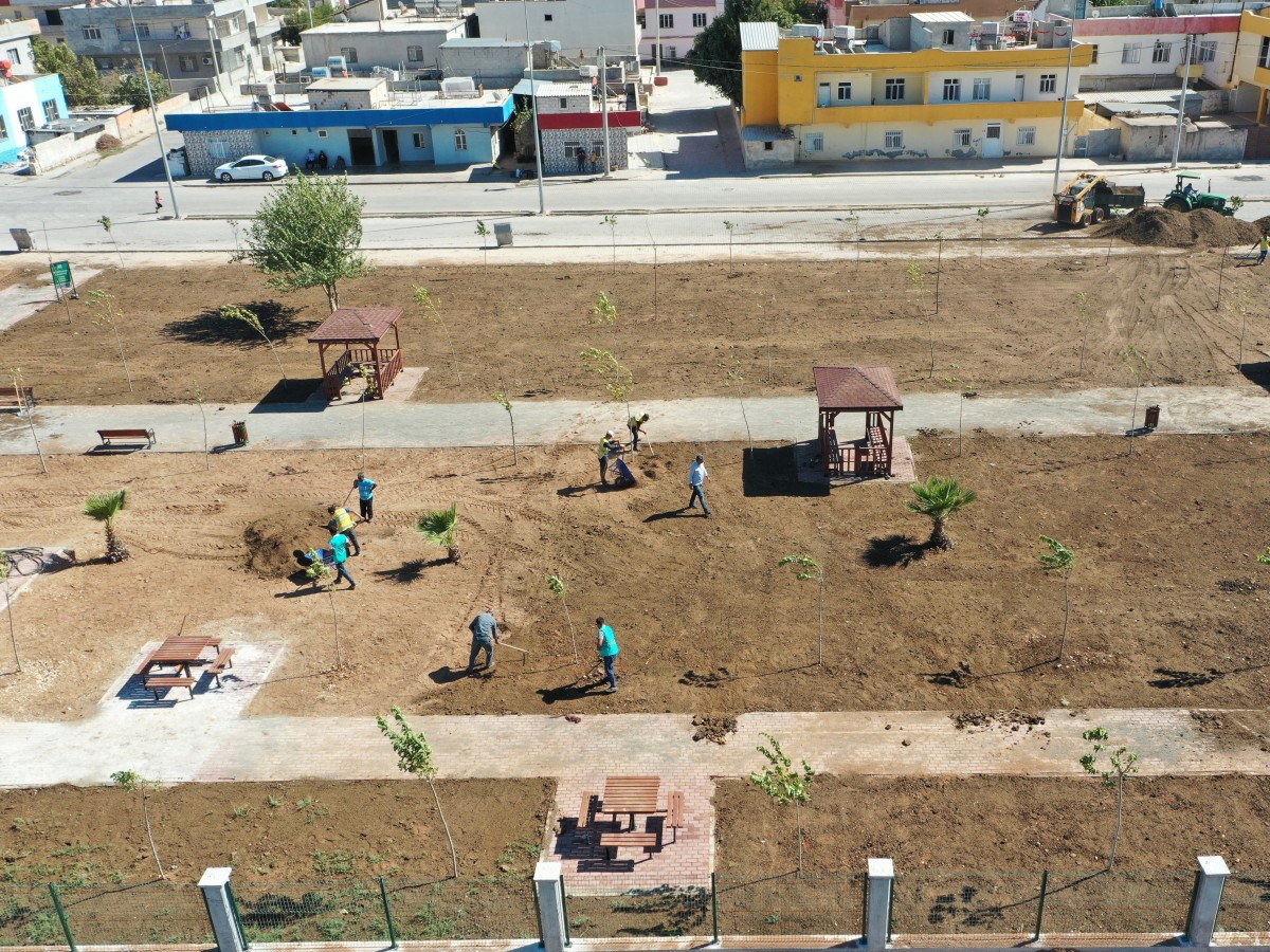 Harran Kent Parkı yeşillendiriliyor