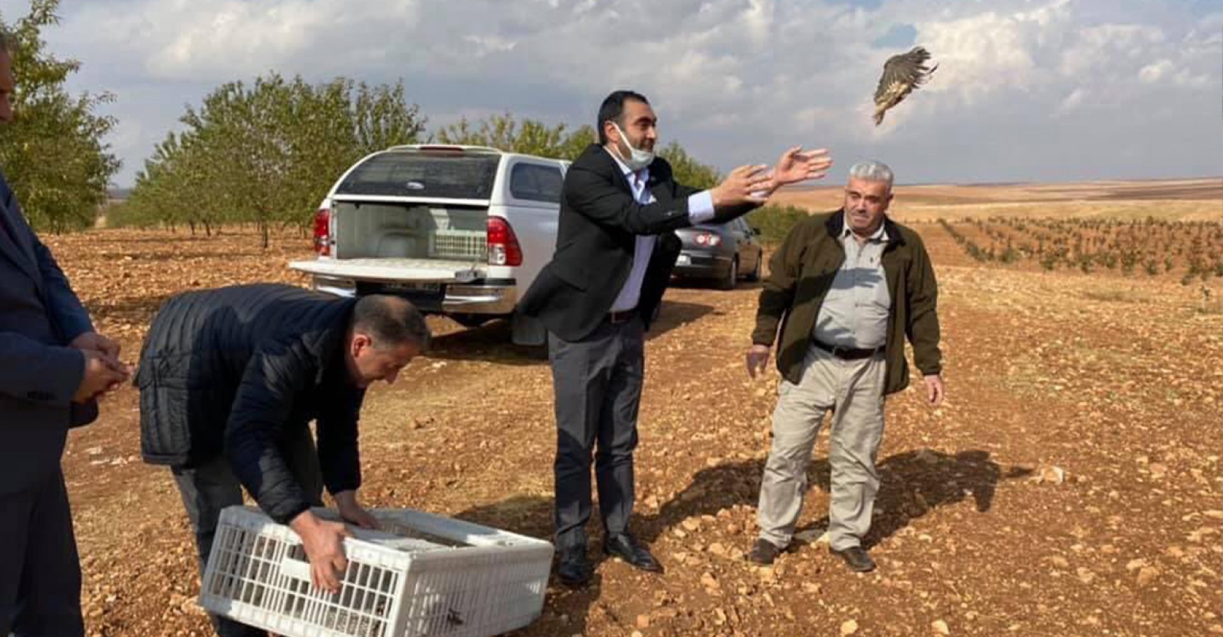 Şanlıurfa'da doğaya keklik salındı