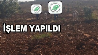 Urfa'da kaçak avcılar yakalandı