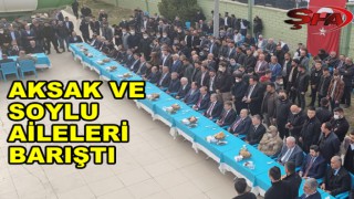Türkiye, Ceylanpınar'daki bu kavgayı konuşmuştu! Barışla sonuçlandı