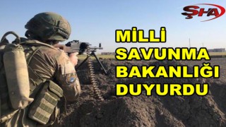 Urfa sınırında PKK/YPG’ye darbe