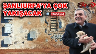 Urfa'da can dostları için dev projede çalışmalar sürüyor