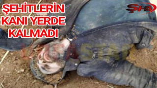 Urfa'da 2 polisi şehit eden zanlı ölü ele geçirildi
