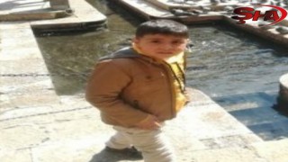 Urfa'da feci ölüm!