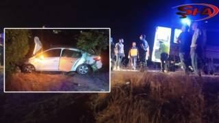 Urfa'da otomobil atlara çarptı: 6 yaralı