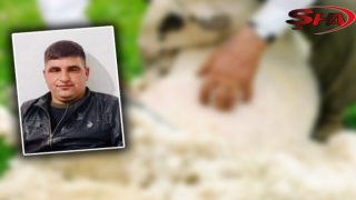 Koyun kırkarken hayatını kaybetti!
