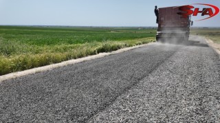 Harran kırsalında asfalt çalışmaları sürüyor