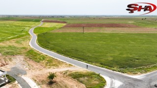 Harran'da bağlantı yolları asfaltlanıyor