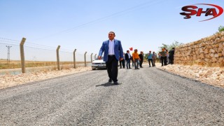 Harran'da konforlu bir ulaşım için asfalt çalışmaları sürüyor