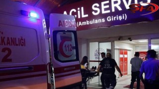 Urfa’da kahreden olay! İneğin tepmesi sonucu öldü