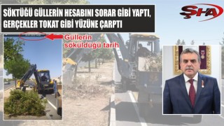 Beyazgül’ü kendi dönemindeki gül sökümleri yalanladı