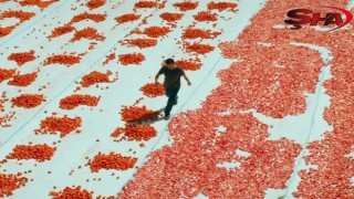 Türkiye'nin Oscar adayı belli oldu