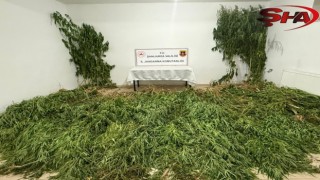 Şanlıurfa’da uyuşturucu operasyonu: 3 gözaltı