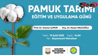 Büyükşehir’den pamuk çiftçilerine eğitim ve uygulama günü