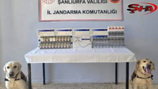 Şanlıurfa’da kaçak sigara ele geçirdi