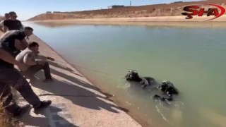 Urfa'da sulama kanalına düşen Emir boğuldu