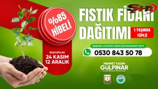 Şanlıurfa’da çiftçiye %85 hibeli fıstık fidanı desteği başladı