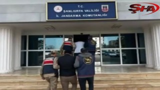 Şanlıurfa’da dolandırıcılık operasyonu! 2 tutuklama