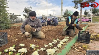 Eyyübiye yeşil alanları bahara hazırlanıyor