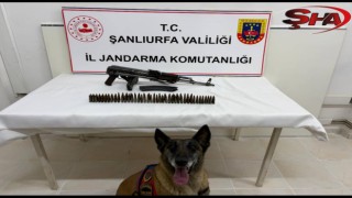 Şanlıurfa'da ruhsatsız silah operasyonu