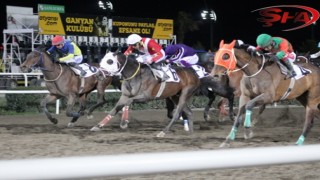 Büyükşehir Başkanlık Koşusunu 'Dar Sokak' kazandı