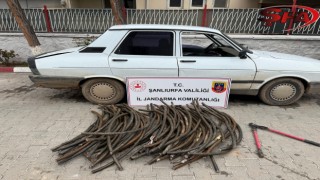 Ceyalanpınar TİGEM'de milyonluk hırsızlık