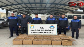 HALİLİYE’DE GIDA DENETİMİ: KÜFLÜ CEVİZLERE EL KONULDU