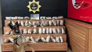 Şanlıurfa’da operasyonda 17 kilo 550 gram skunk maddesi ele geçirildi
