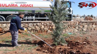 Yukarıgöklü kent parkı yeşile bürünüyor