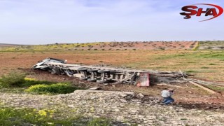 Şanlıurfa'da kontrolden çıkan tır tarlaya devrildi