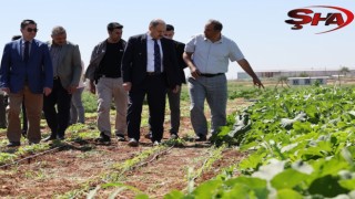 BAŞKAN GÜLPINAR’DAN DÜNYA ÇİFTÇİLER GÜNÜ MESAJI