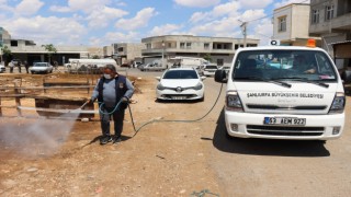 Büyükşehirden kurban satış noktaları yakınlarında ilaçlama çalışması