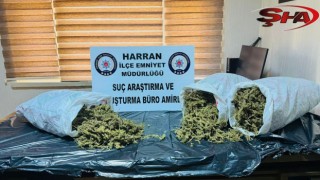 Harran’da narkotik operasyonu: 1 tutuklama