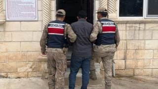Jandarma firari hükümlüyü yakaladı