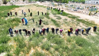 Harran'da mezarlıklar yabani otlardan temizleniyor