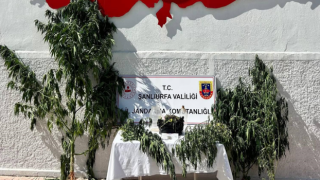 Hilvan'da uyuşturucu operasyonu: 1 şüpheli hakkında işlem