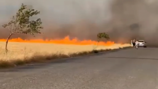 Şanlıurfa’da buğday ekili arazide yangın